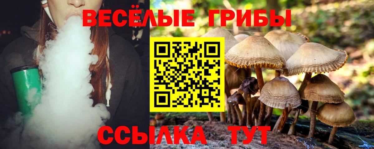 Псилоцибиновые грибы Psilocybine cubensis  Вход с VPN  Усть-Джегута  Псилоцибиновые грибы Psilocybine cubensis 